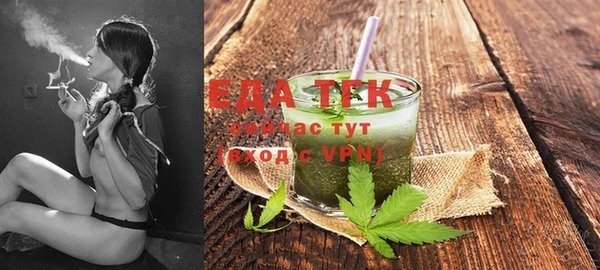 метадон Ельня