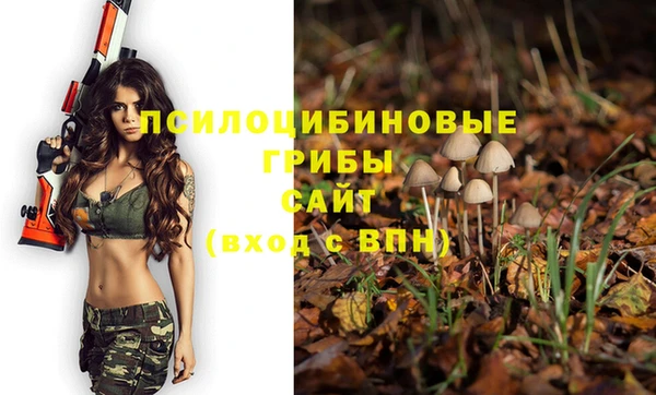 мяу мяу кристалл Елабуга