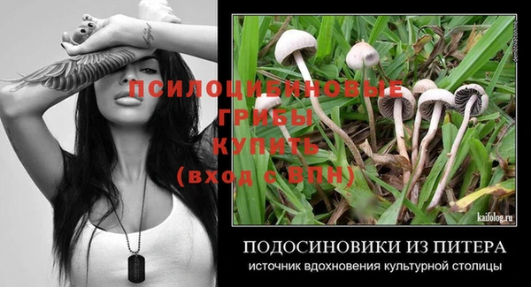 метадон Ельня