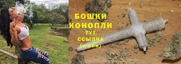 метадон Ельня
