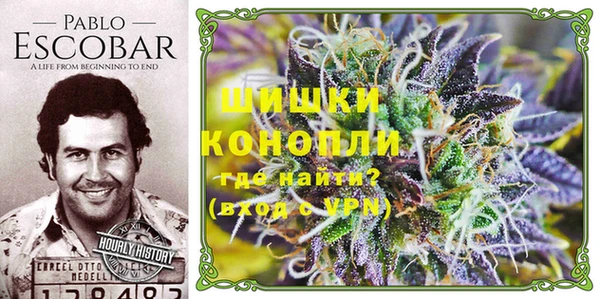 метадон Ельня
