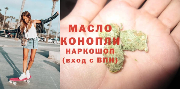 метадон Ельня